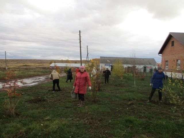День посадки леса в Кильдеево Верхнеуслонского района