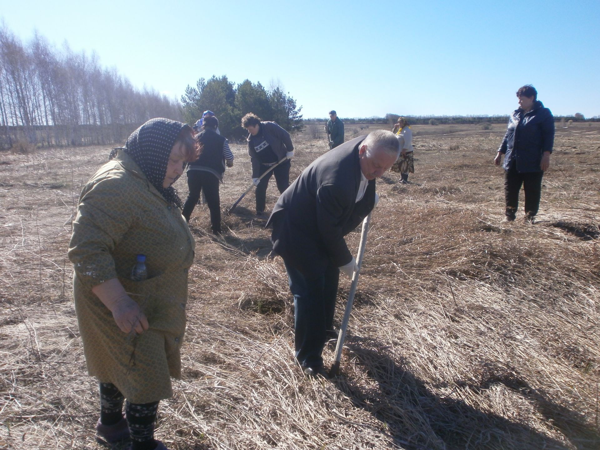 Жители Верхнеуслонского района приняли участие в Дне посадки леса