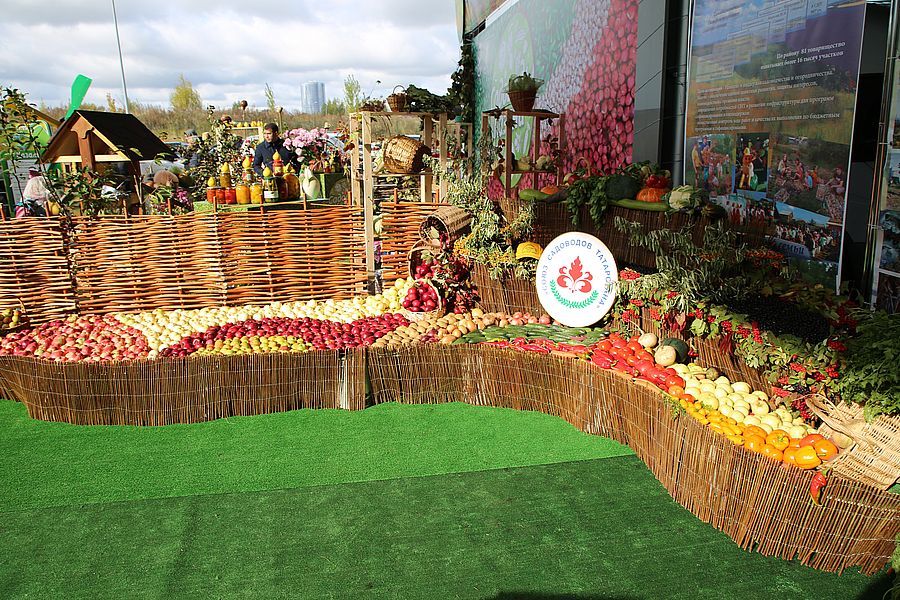 Верхнеуслонцы приняли участие в выставке "День садовода"
