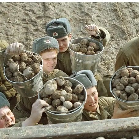 Из воспоминаний верхнеуслонцев: мороженная картошка - любимое лакомство детей военной поры