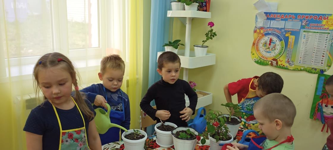 Шеланговских ребятишек научили ухаживать за комнатными растениями