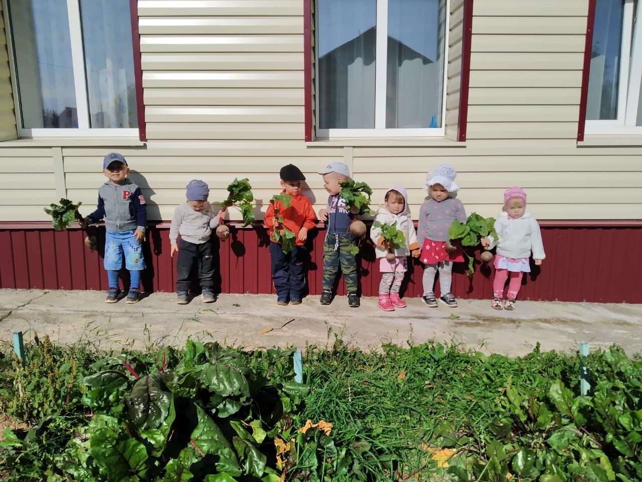 Шеланговским ребятишкам организовали экскурсию в мини-огород