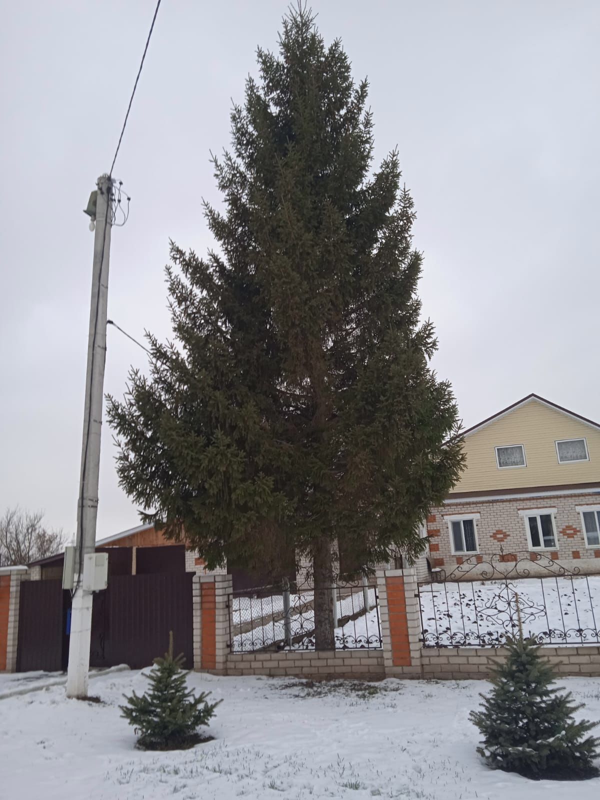 Новогодняя елка заняла свое место в Парке культуры и отдыха в Верхнем Услоне