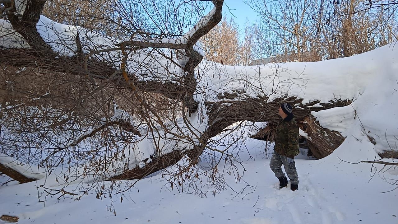 Вскрытие покажет: встречаем весенний паводок во всеоружии