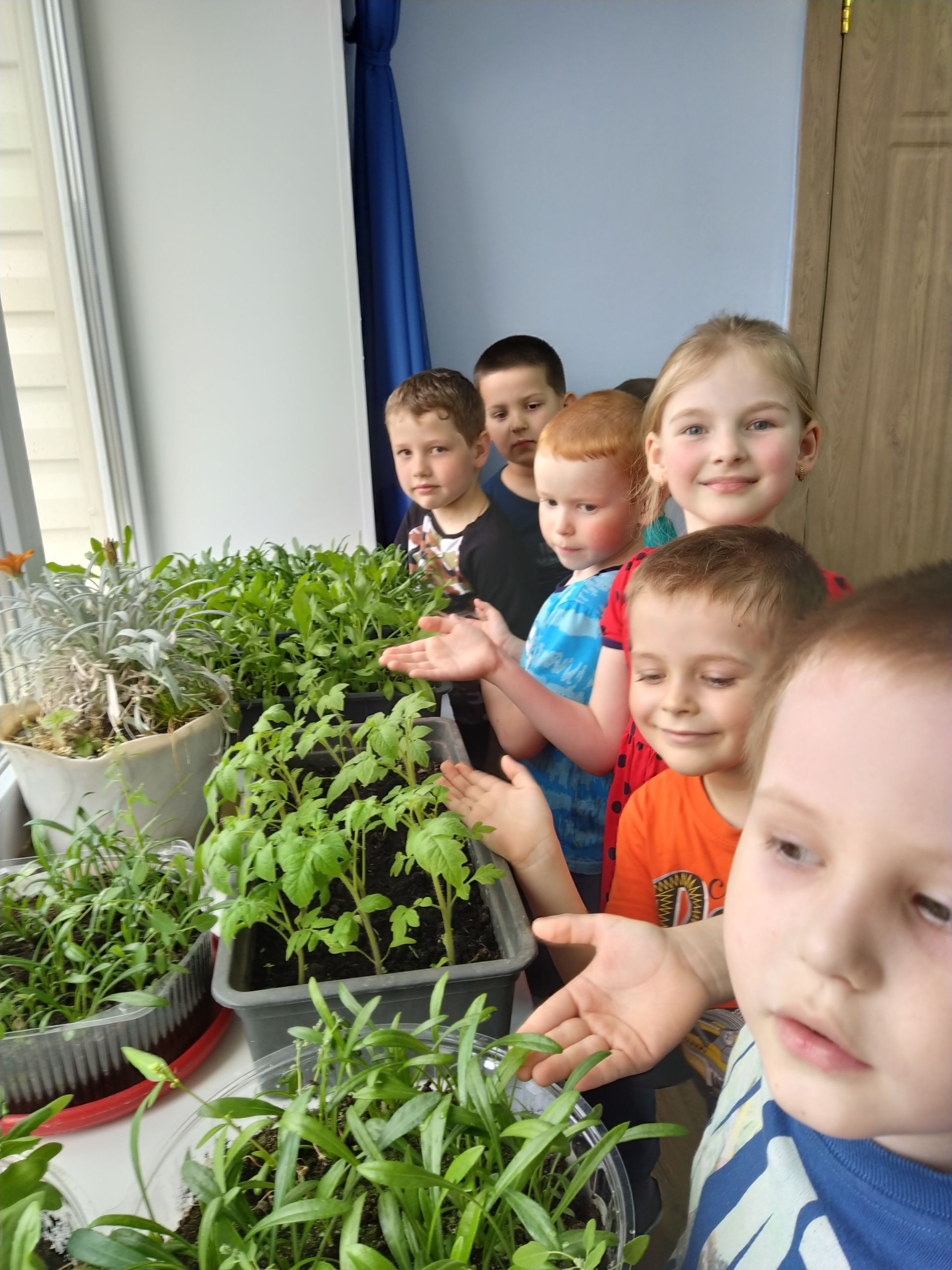 Кураловские дошколята ухаживают за огородом на подоконнике