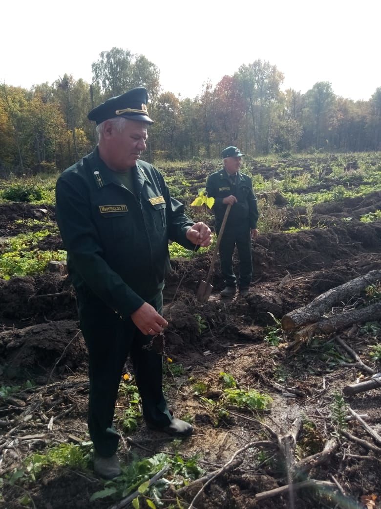 Люди района - Николай Мартьянов: "Мы лес в обиду не дадим"