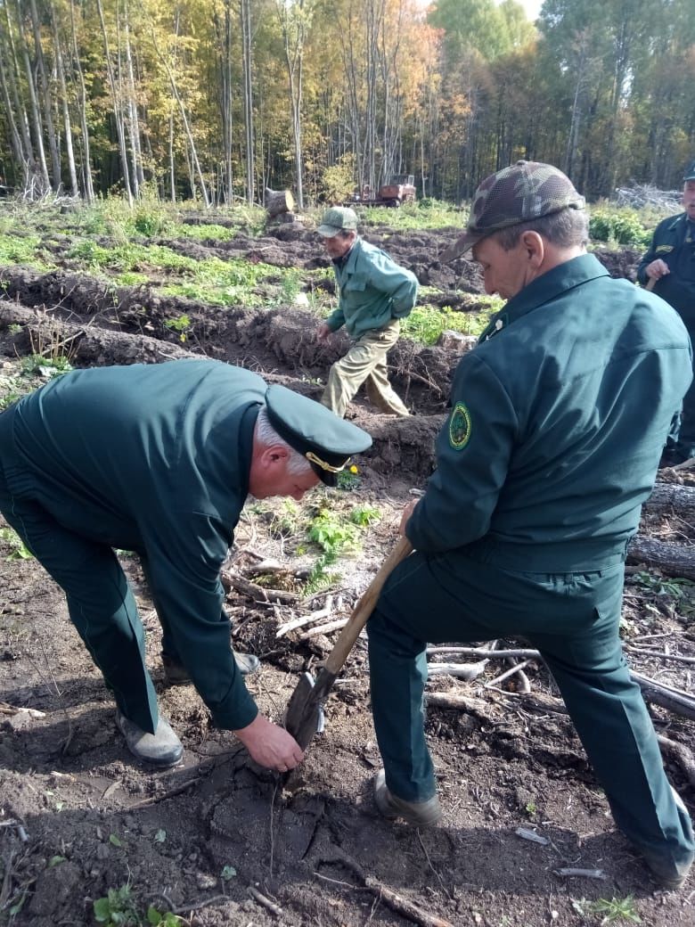 Люди района - Николай Мартьянов: "Мы лес в обиду не дадим"