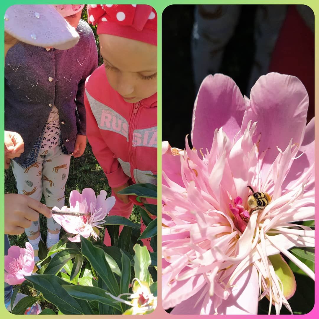 В Кураловском детском саду прошла тематическая неделька «В мире насекомых»