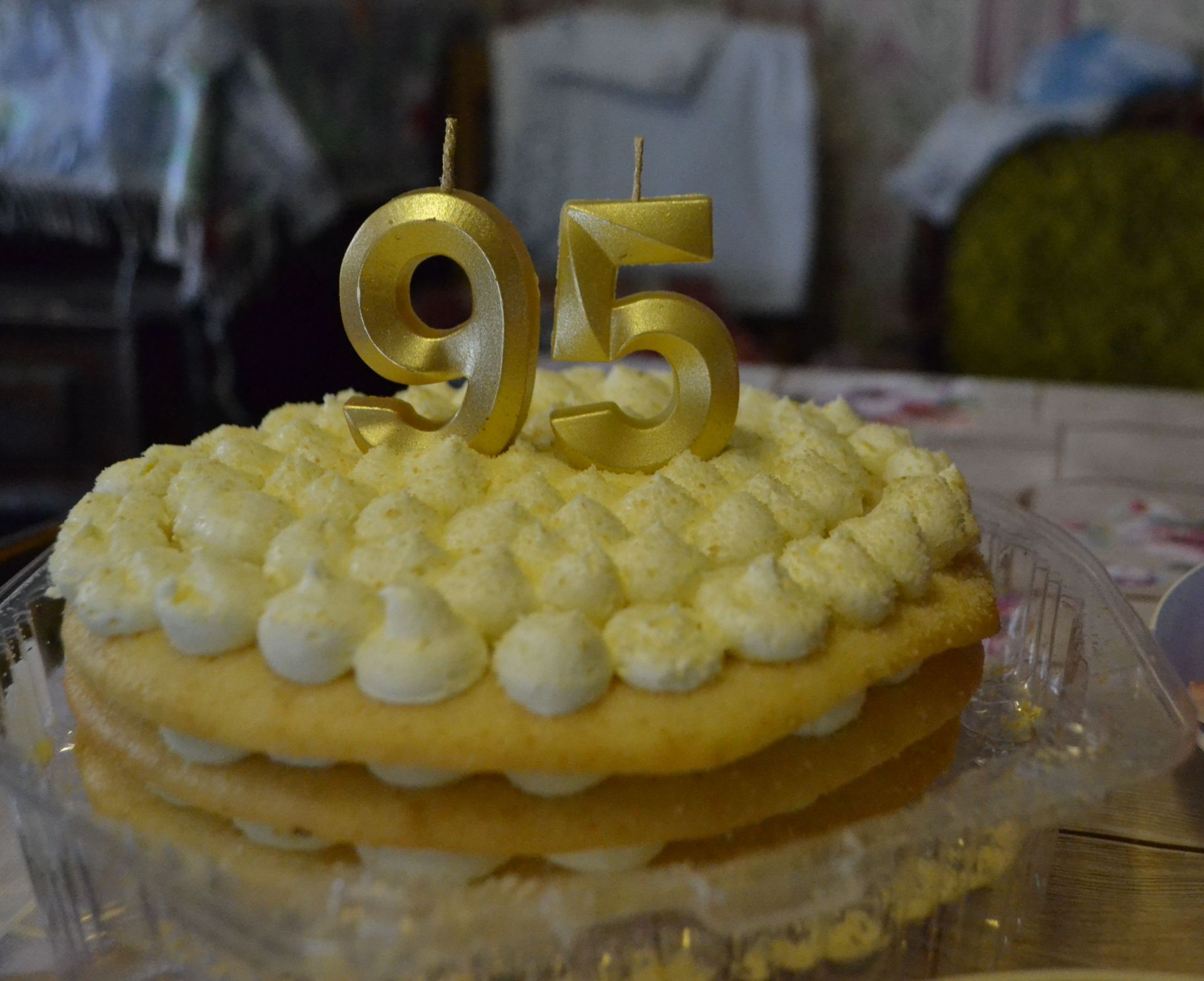 Пелагея Карягина из Печищ отметила 95-ый день рождения