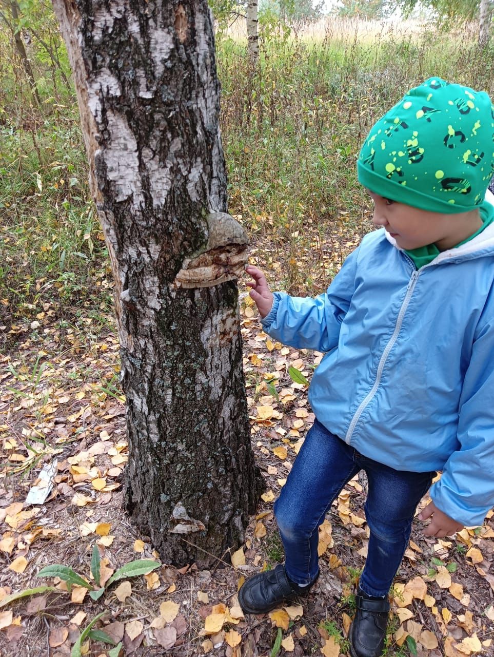 Воспитанники Печищинского детсада отправились на экскурсию в лес