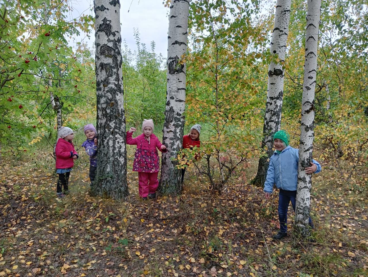 Воспитанники Печищинского детсада отправились на экскурсию в лес