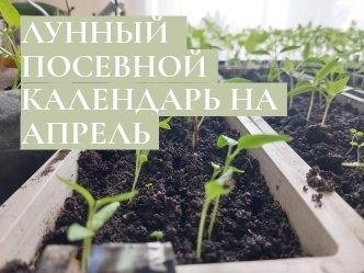 Лунный посевной календарь на апрель 2023 года садовода и огородника