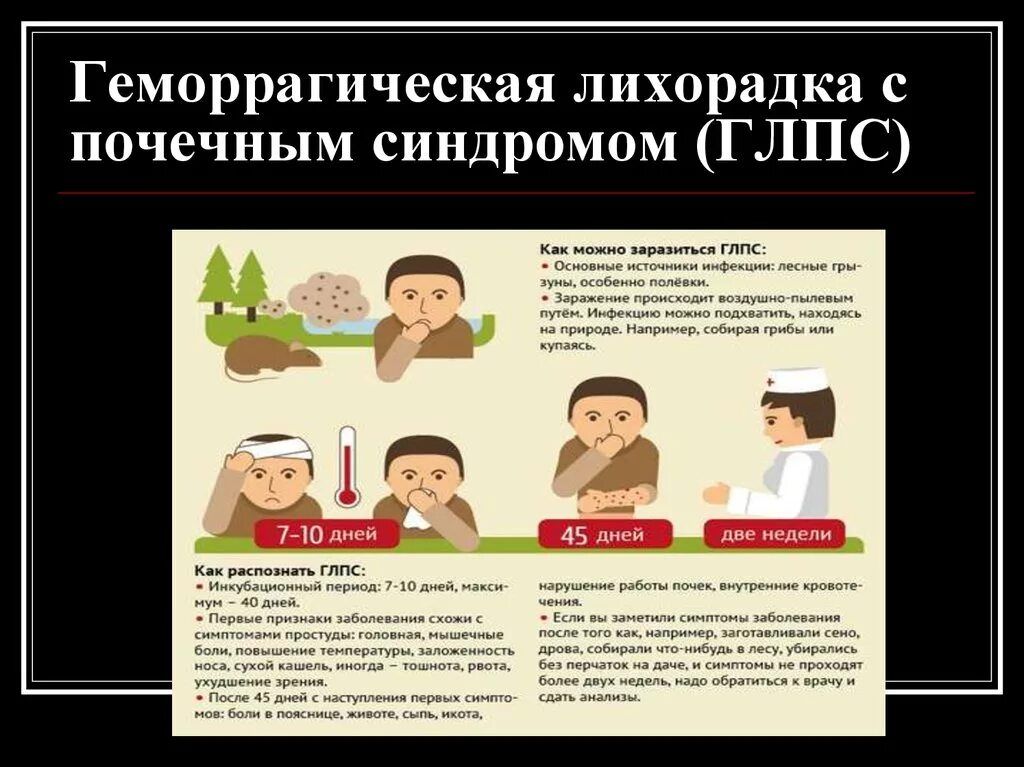 Бөер синдромы булган  геморрагик бизгәк авыруы (ГЛПС)  - бөерләргә авыр зарар китерә торган каты йогышлы чир