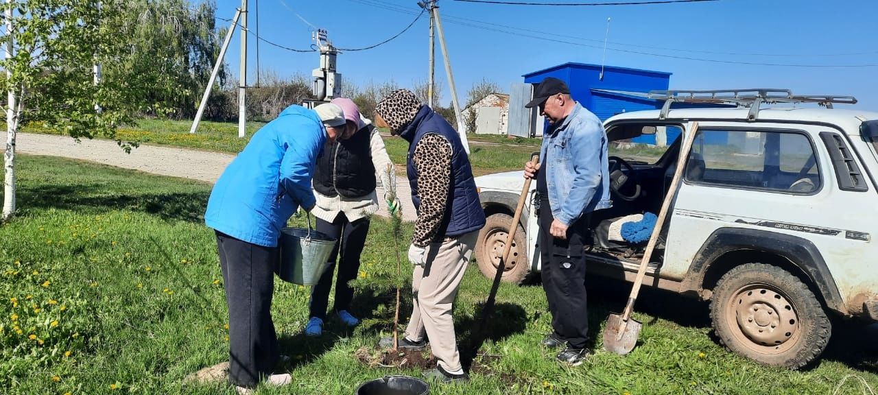 В Кильдееве посадили «Сад памяти»