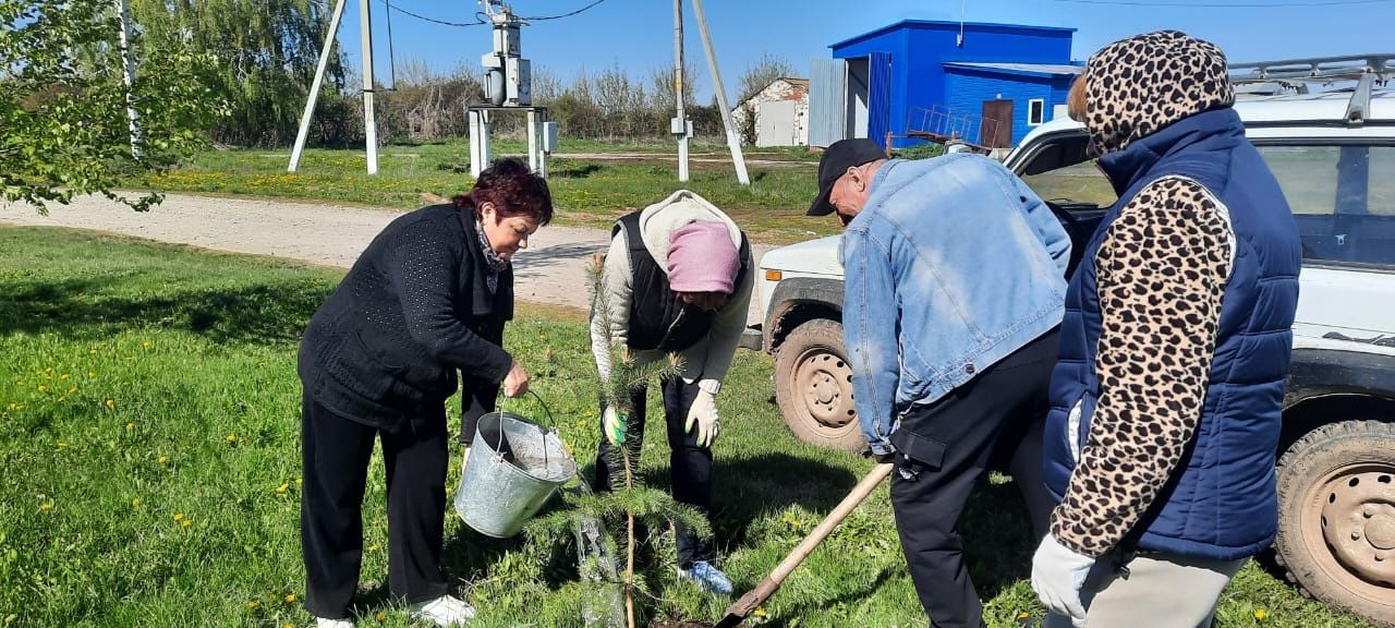 В Кильдееве посадили «Сад памяти»