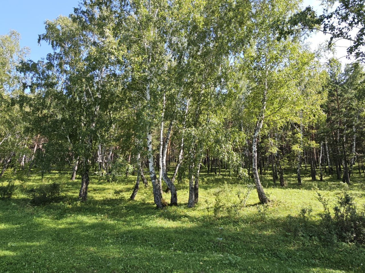 Какой будет погода в Верхнеуслонском районе 16 мая 2025 года