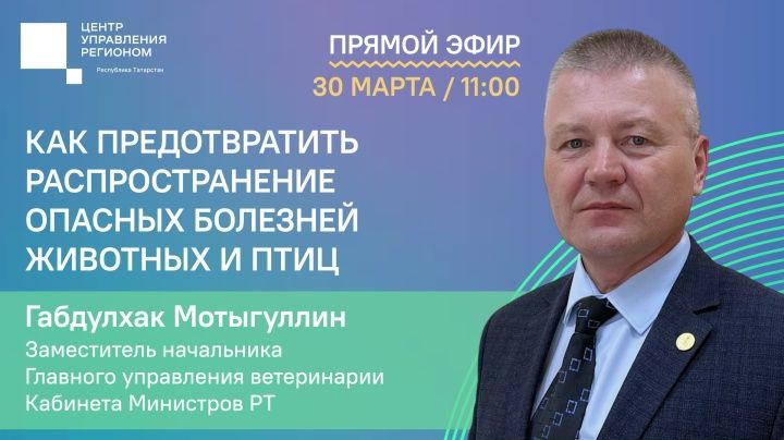 Прямой эфир об инфекциях животных и птиц проведут в Татарстане 30 марта