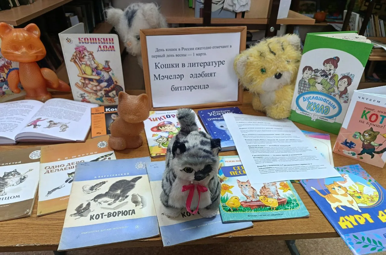 Вахитта мәчеләр көненә күргәзмә оештырылды