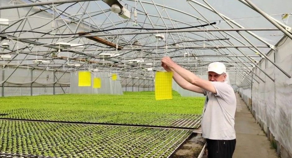 В Татарстане проверили фитосанитарное состояние хранилищ зерна