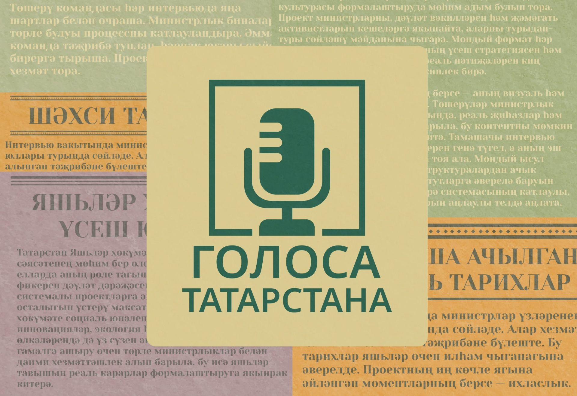 Молодёжное правительство РТ запустило серию подкастов о работе властей