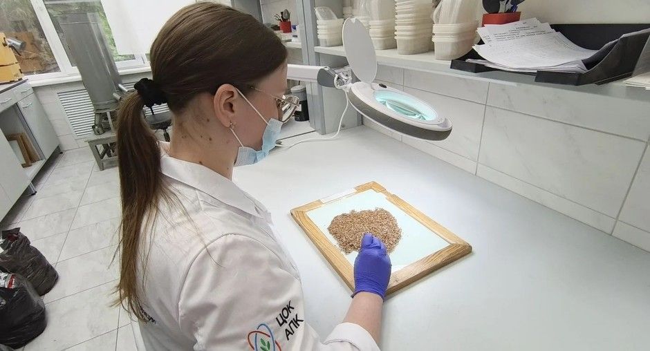 Специалисты ЦОК АПК исследовали более 36 тысяч тонн льна в Татарстане