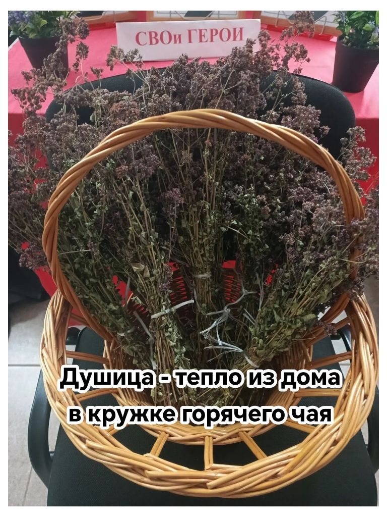 Жители Коргузы собрали более 17 тысяч рублей для бойцов СВО