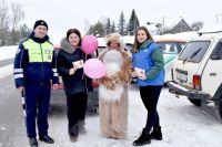 В Верхнем Услоне мартовский кот поздравил автоледи с 8 Марта