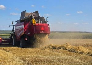 Аграрии Верхнеуслонского района убрали более 80% зерновых