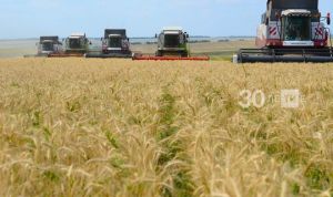 В Татарстане в сельхозоборот возвращено 35,8 тыс. га земель