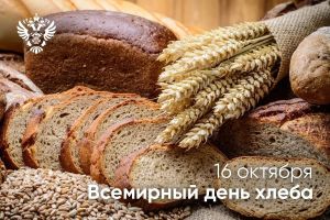 Эксперты ЦОК АПК дали советы по хранению хлеба