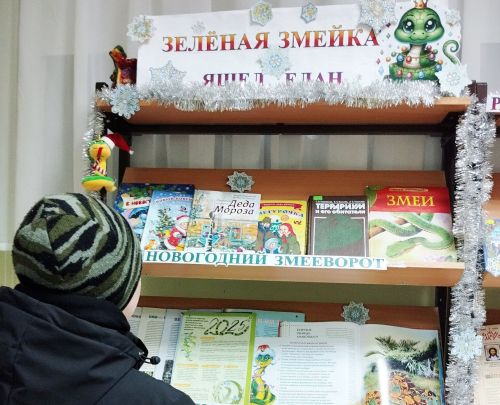 В Детской библиотеке Верхнего Услона открылась выставка–праздник «Зелёная змейка»