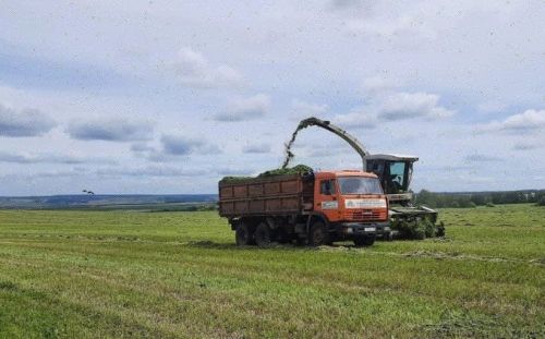 Җәйнең бер көне - ел туйдыра