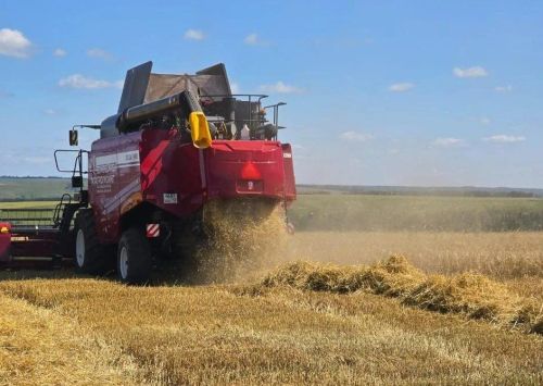 Аграрии Верхнеуслонского района убрали более 80% зерновых