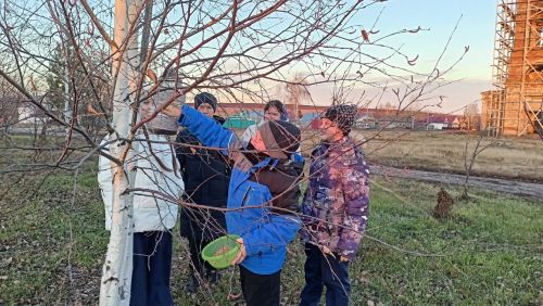 Кружки дополнительного образования в Верхнеуслонском районе: Раскрытие талантов и возможностей