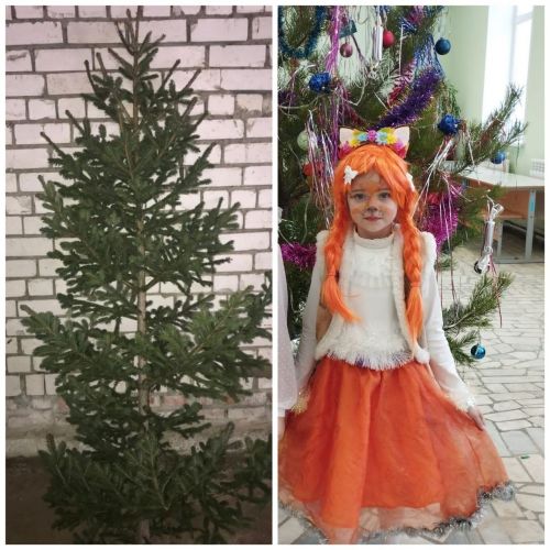 Первоклассница из Шеланги выиграла новогоднюю ель