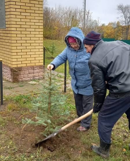 В Вахитове поддержали акцию «Единый день посадки леса»