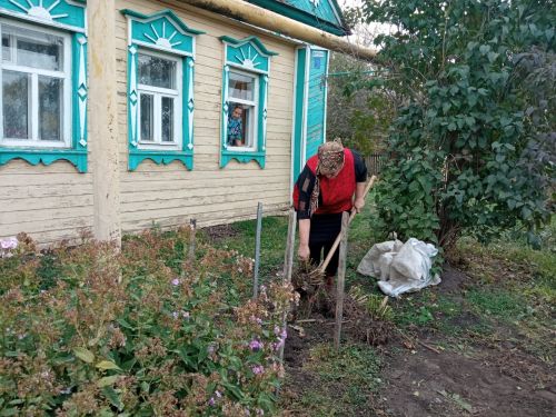 Соцработники помогают подопечным заготавливать овощи на зиму
