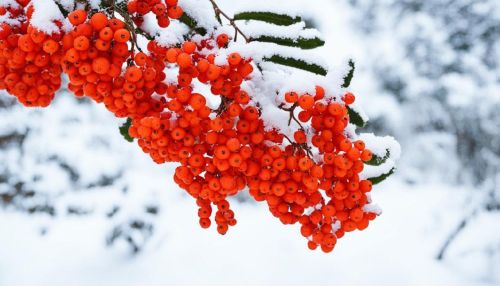 Народные приметы на 17 декабря 2023 года