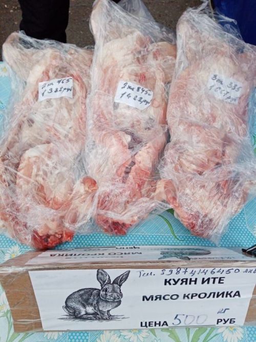 Ярминкәләр яз көне дәвам итәрме, яңа елда беләчәкбез