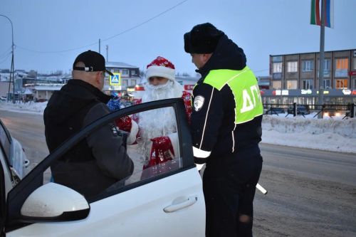 В Верхнем Услоне на дорогу вышел новогодний патруль