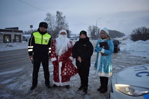В Верхнем Услоне на дорогу вышел новогодний патруль