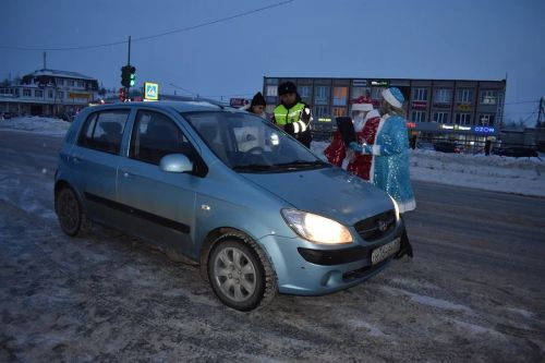 В Верхнем Услоне на дорогу вышел новогодний патруль