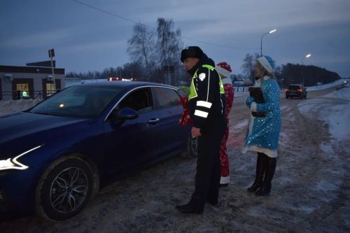 В Верхнем Услоне на дорогу вышел новогодний патруль