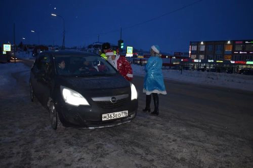 В Верхнем Услоне на дорогу вышел новогодний патруль