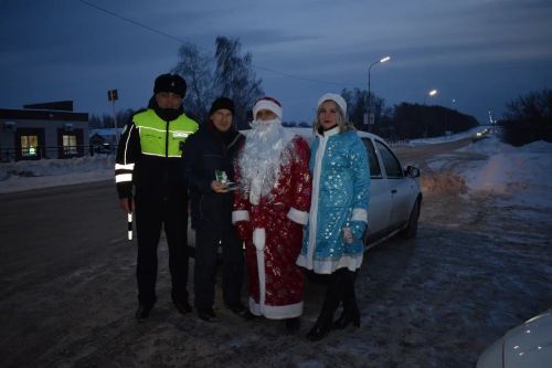В Верхнем Услоне на дорогу вышел новогодний патруль