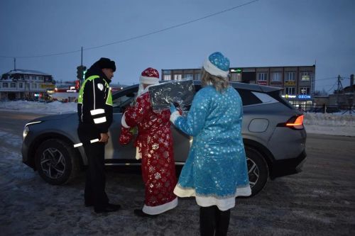 В Верхнем Услоне на дорогу вышел новогодний патруль