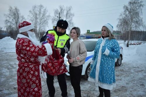 В Верхнем Услоне на дорогу вышел новогодний патруль