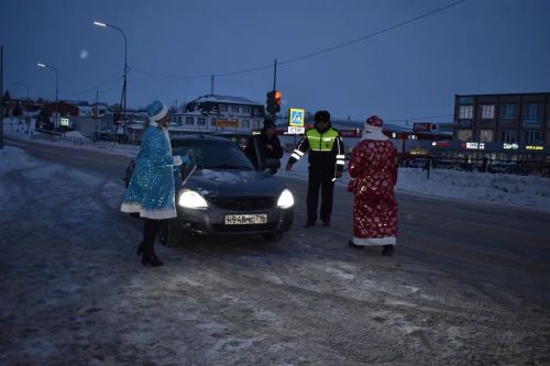 В Верхнем Услоне на дорогу вышел новогодний патруль