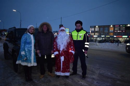 В Верхнем Услоне на дорогу вышел новогодний патруль