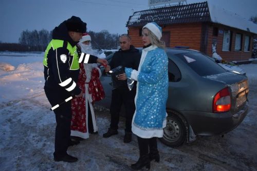 В Верхнем Услоне на дорогу вышел новогодний патруль